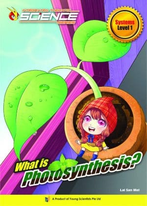 What is Photosynthesis? - Level 1: Systems