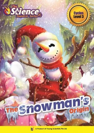 The Snowman's Origin - Level 3: Cycles